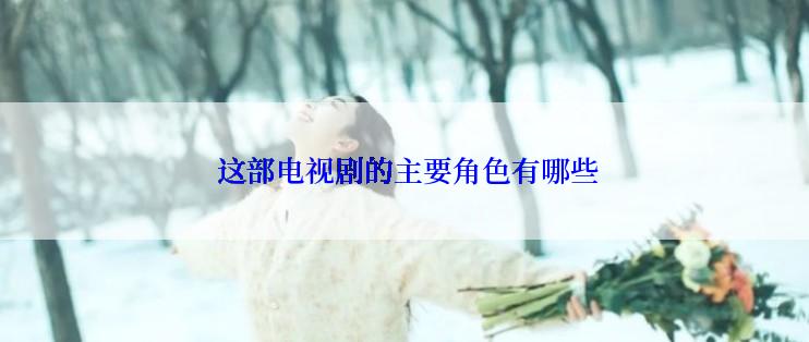  这部电视剧的主要角色有哪些