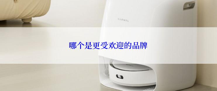 哪个是更受欢迎的品牌
