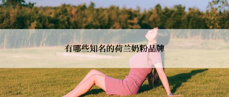 有哪些知名的荷兰奶粉品牌