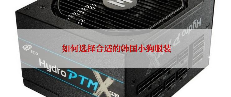  如何选择合适的韩国小狗服装