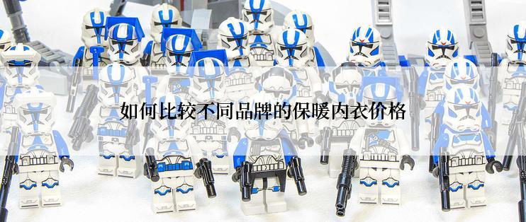 如何比较不同品牌的保暖内衣价格