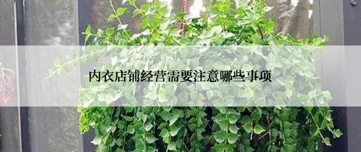 内衣店铺经营需要注意哪些事项