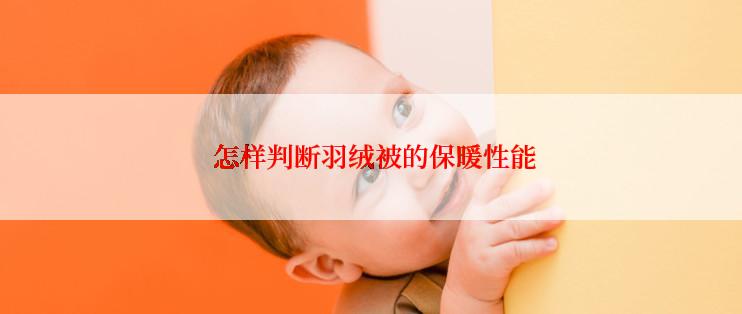 怎样判断羽绒被的保暖性能