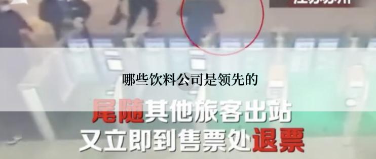 哪些饮料公司是领先的