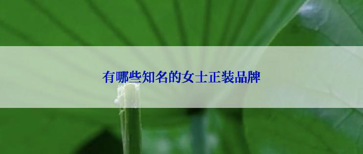 有哪些知名的女士正装品牌