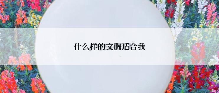 什么样的文胸适合我