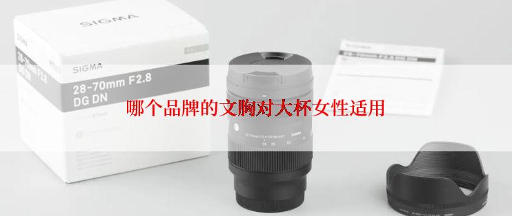 哪个品牌的文胸对大杯女性适用