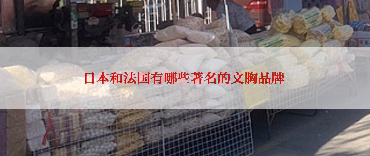 日本和法国有哪些著名的文胸品牌