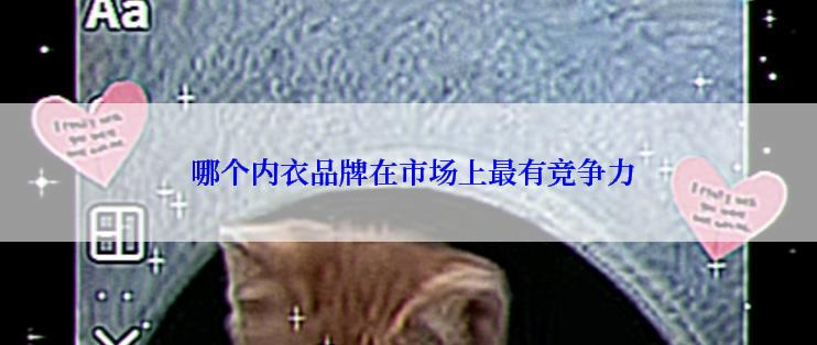  哪个内衣品牌在市场上最有竞争力