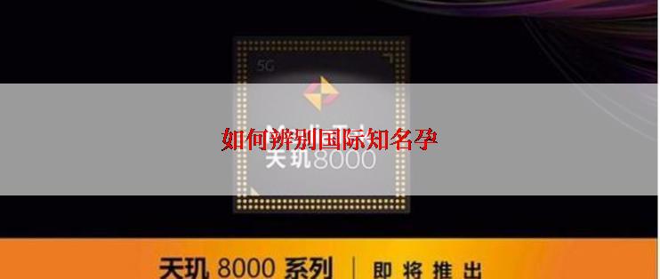 如何辨别国际知名孕