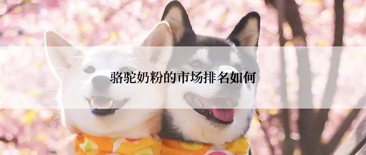 骆驼奶粉的市场排名如何