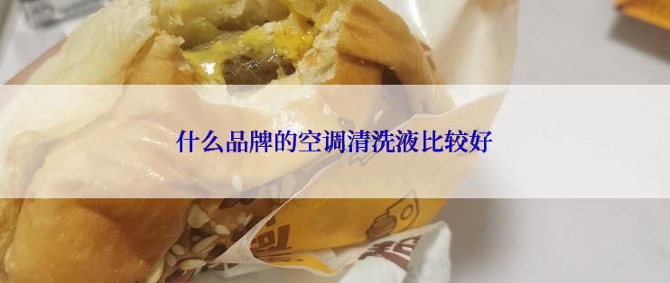 什么品牌的空调清洗液比较好