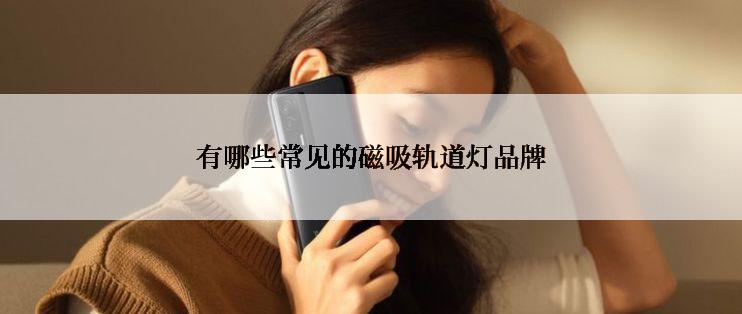 有哪些常见的磁吸轨道灯品牌