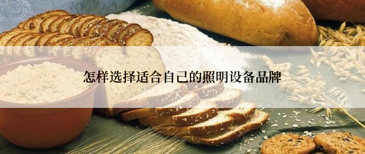 怎样选择适合自己的照明设备品牌