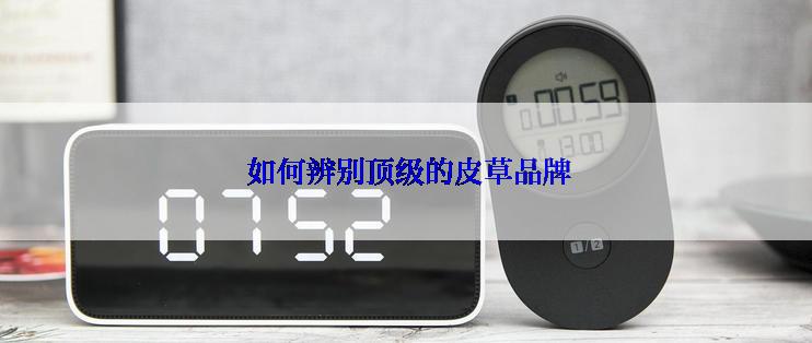  如何辨别顶级的皮草品牌