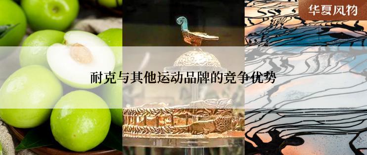 耐克与其他运动品牌的竞争优势