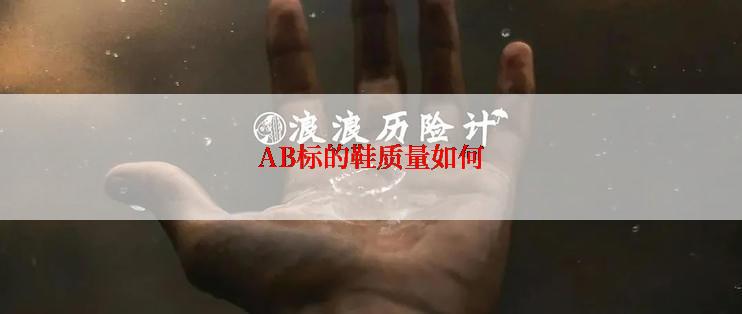 AB标的鞋质量如何