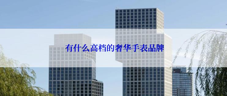  有什么高档的奢华手表品牌