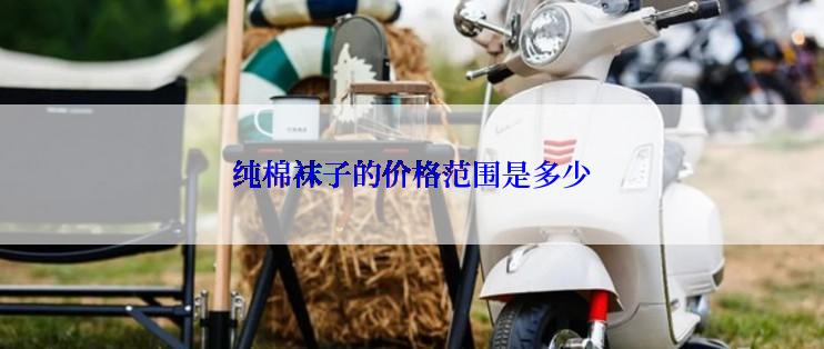 纯棉袜子的价格范围是多少