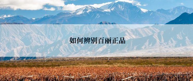  如何辨别百丽正品