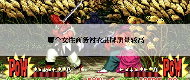  哪个女性商务衬衣品牌质量较高
