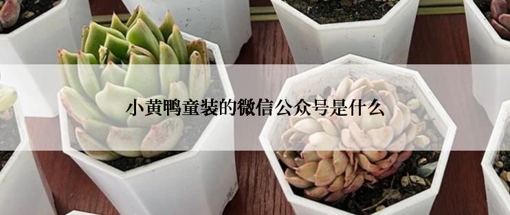 小黄鸭童装的微信公众号是什么