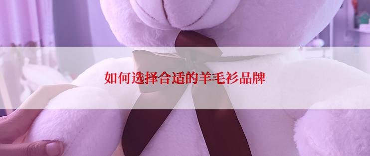如何选择合适的羊毛衫品牌