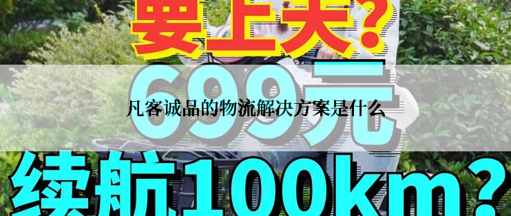 凡客诚品的物流解决方案是什么