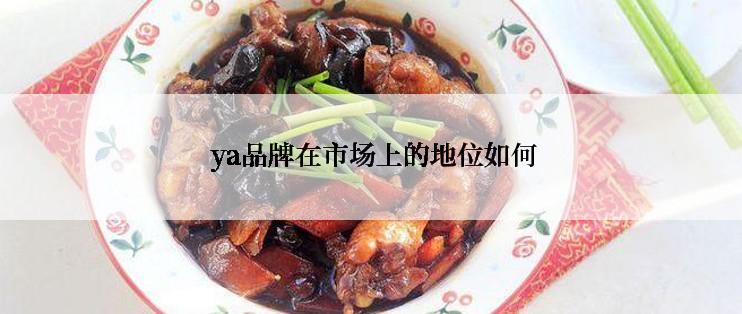  ya品牌在市场上的地位如何