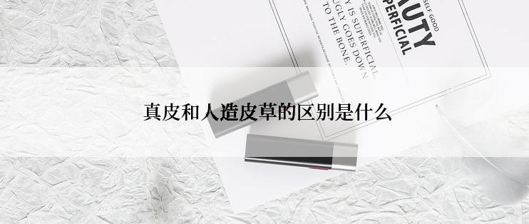  真皮和人造皮草的区别是什么
