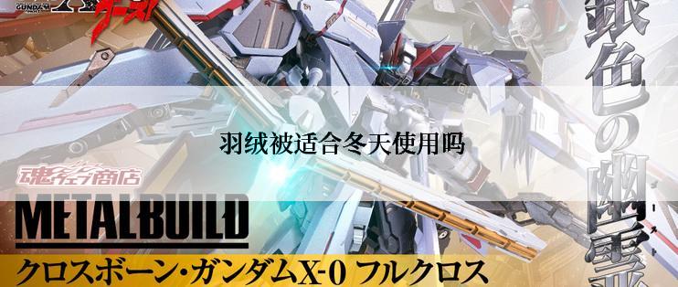  羽绒被适合冬天使用吗