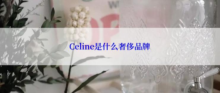 Celine是什么奢侈品牌