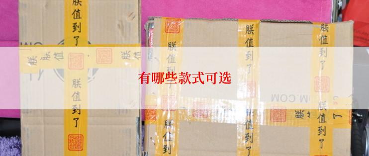 有哪些款式可选