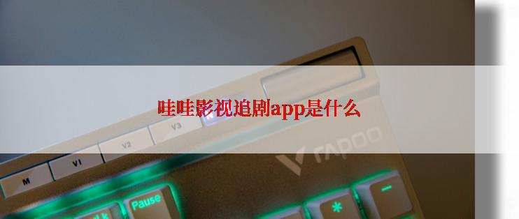 哇哇影视追剧app是什么