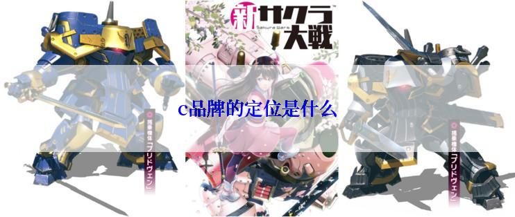 c品牌的定位是什么