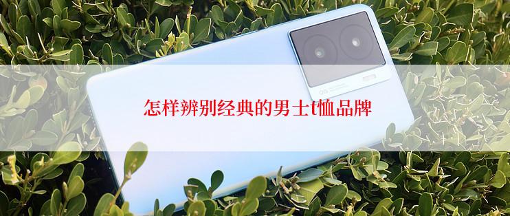  怎样辨别经典的男士t恤品牌