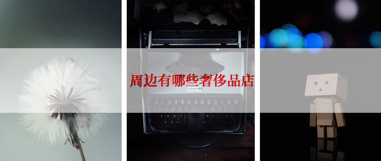  周边有哪些奢侈品店