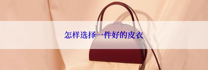 怎样选择一件好的皮衣