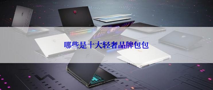 哪些是十大轻奢品牌包包
