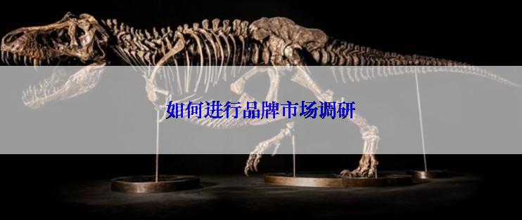 如何进行品牌市场调研