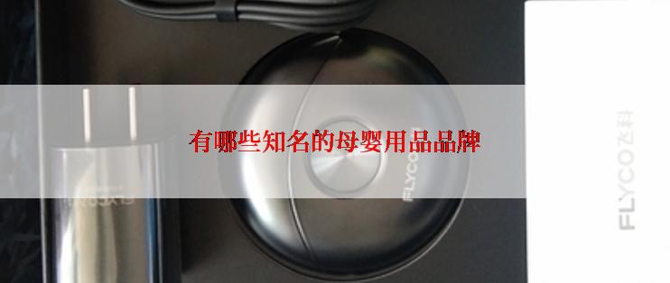 有哪些知名的母婴用品品牌
