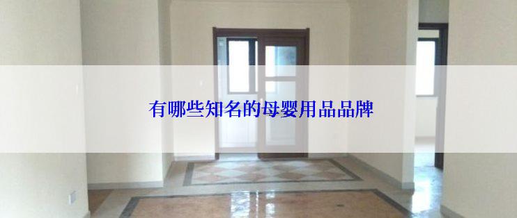 有哪些知名的母婴用品品牌