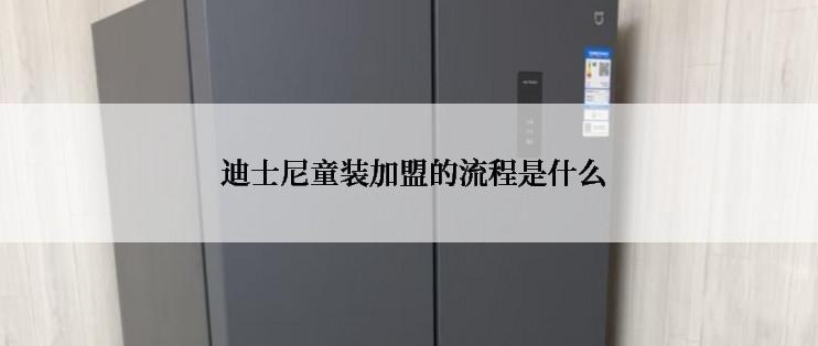  迪士尼童装加盟的流程是什么