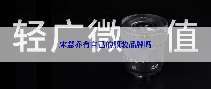 宋慧乔有自己的服装品牌吗