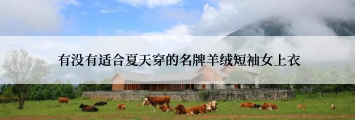  有没有适合夏天穿的名牌羊绒短袖女上衣