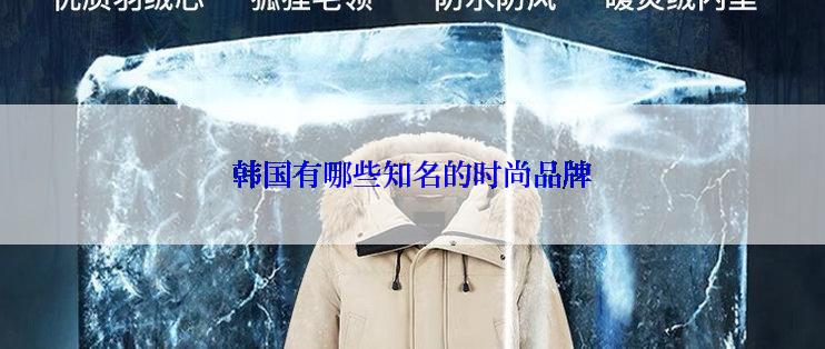 韩国有哪些知名的时尚品牌
