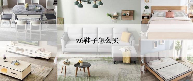  z6鞋子怎么买