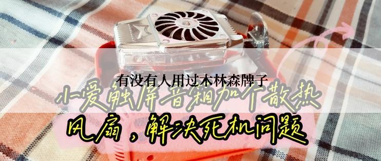  有没有人用过木林森牌子