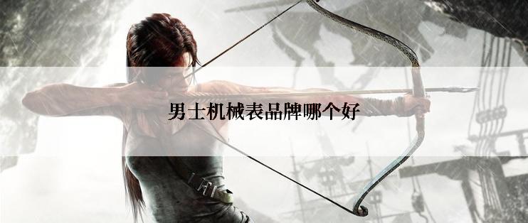 男士机械表品牌哪个好
