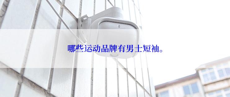 哪些运动品牌有男士短袖。